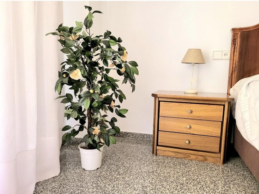 Amistosa, Habitacion Con Balcon, Alicante, Playa, Centro, Rambla, Mercadoアパートメント エクステリア 写真
